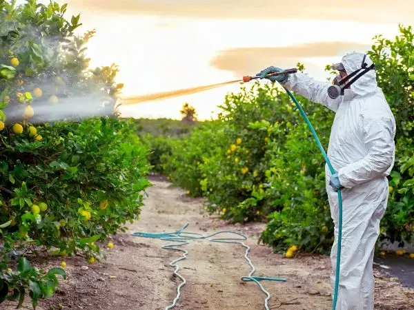 Regulacje pestycydów: czy prawo zapewnia nasze bezpieczeństwo?